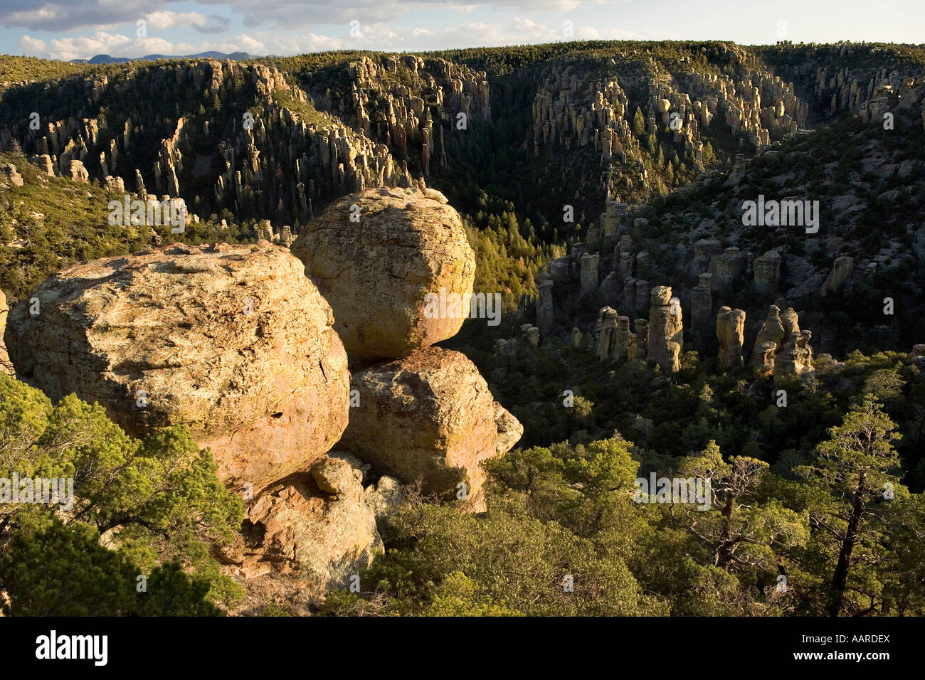 Land der Standing Up Felsen vulkanischen Rhyolith Ablagerung Chiricahua National Monument Arizona Stockfoto