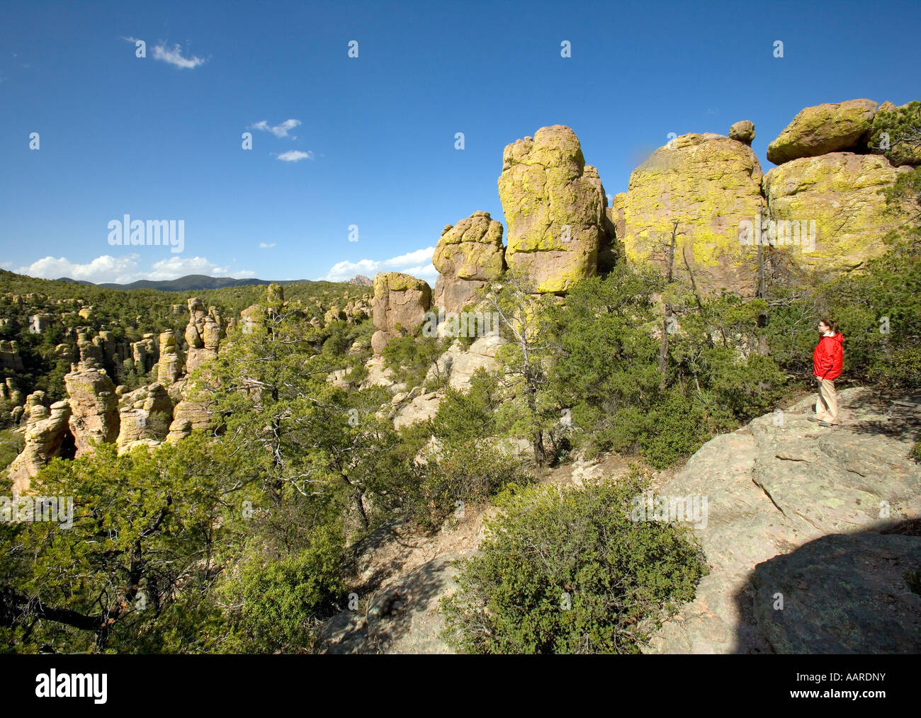 Land der Standing Up Felsen vulkanischen Rhyolith Ablagerung Chiricahua National Monument Arizona veröffentlicht Sarah Degginger Stockfoto