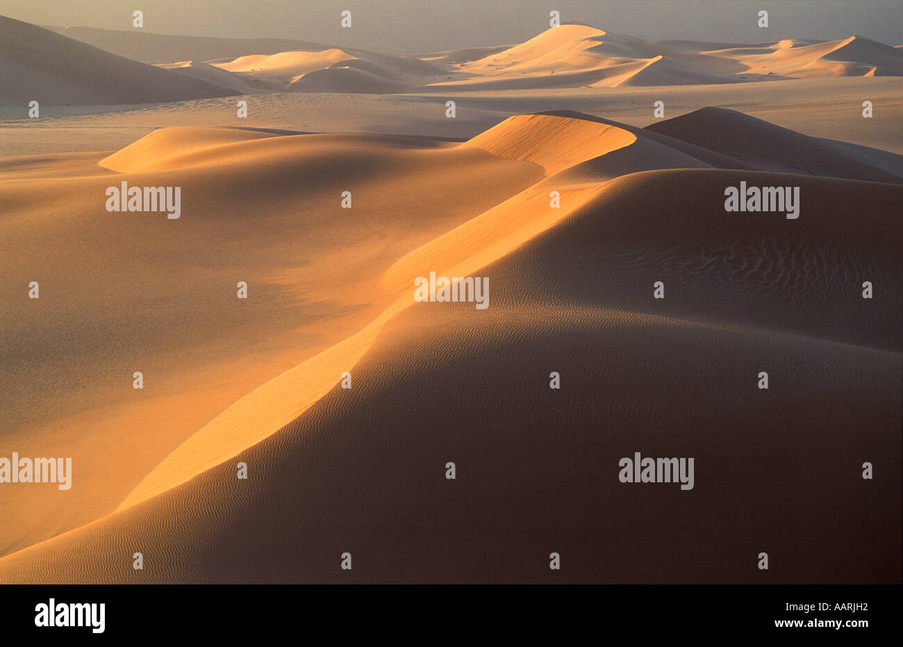 Sanddünen der Namib-Wüste im Morgengrauen Namibia Stockfoto