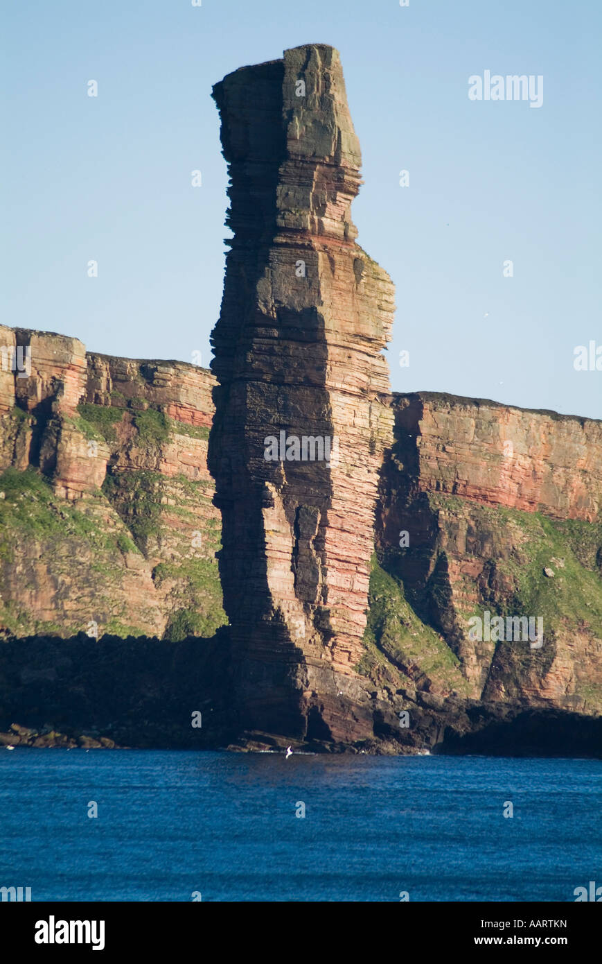 dh Devonian Periode Schottland ALTER MANN VON HOY ORKNEY SCHOTTLAND Sea Stack Wahrzeichen berühmte Ikone paläozoische Ära Landschaft Stockfoto