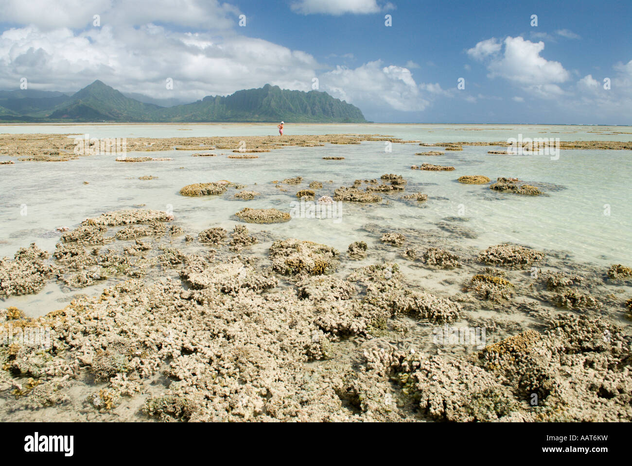 Ahu O Laka Gebiet der Kaneohe Bay, Oahu, Hawaii Stockfoto