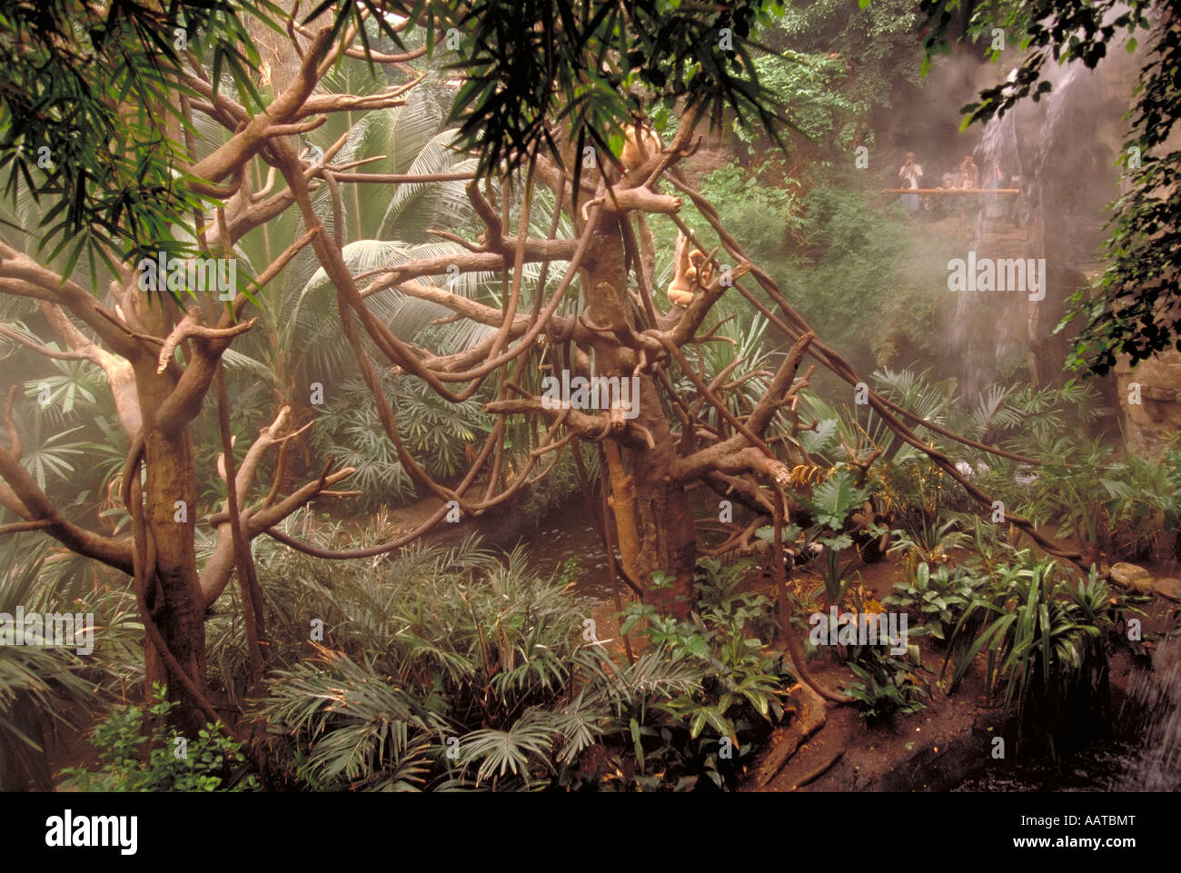 Elk268 1619 Nebraska-Omaha Henry Doorly Zoo gelogen Dschungel Stockfoto