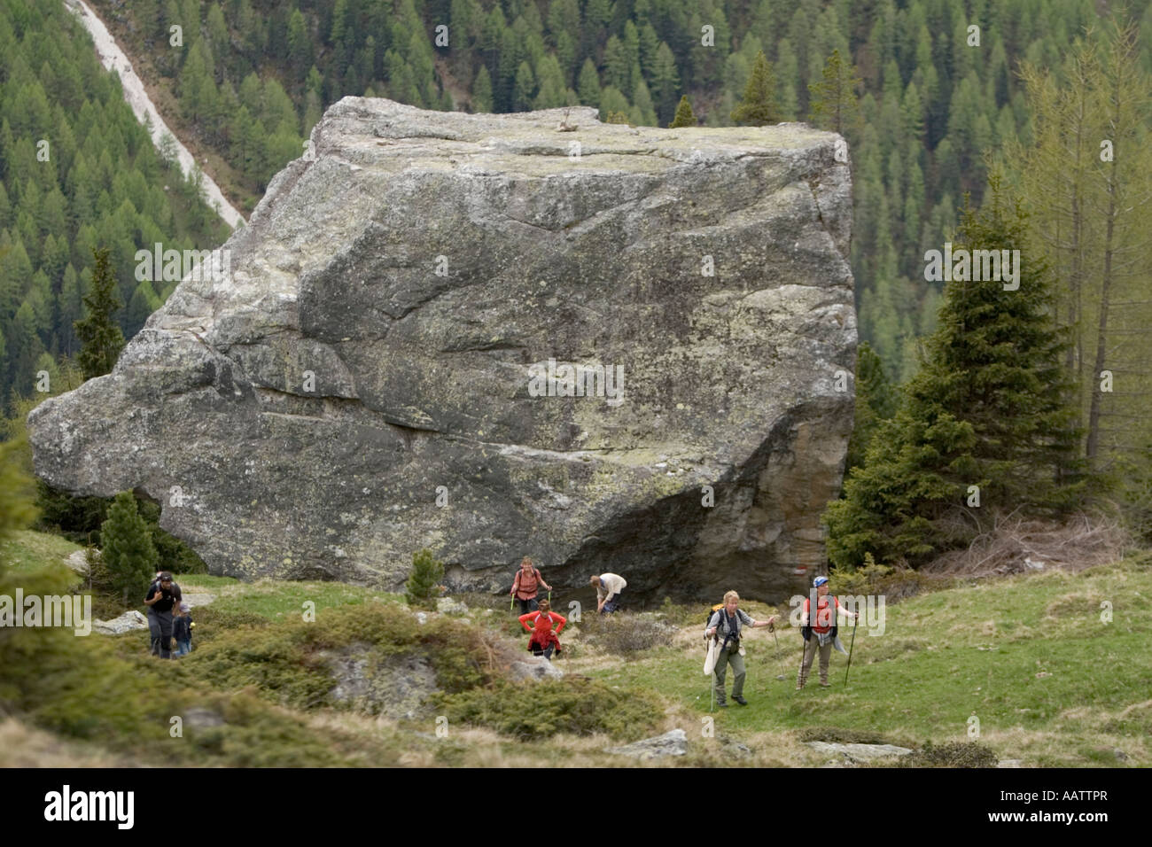 Riesiger Felsblock oberhalb Martelltal im Stilfserjoch Nationalpark Italiens Stockfoto