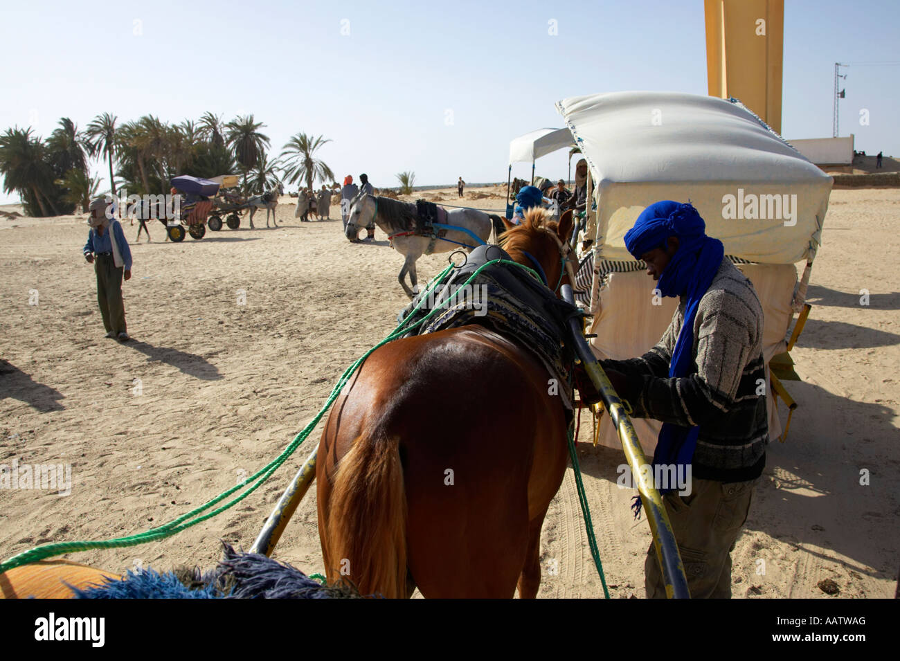 Mrazig Guide prüft das Gurtzeug auf seinem Pferd zu Kutschfahrt in Sahara Wüste in Douz Tunesien Tourist übernehmen Stockfoto