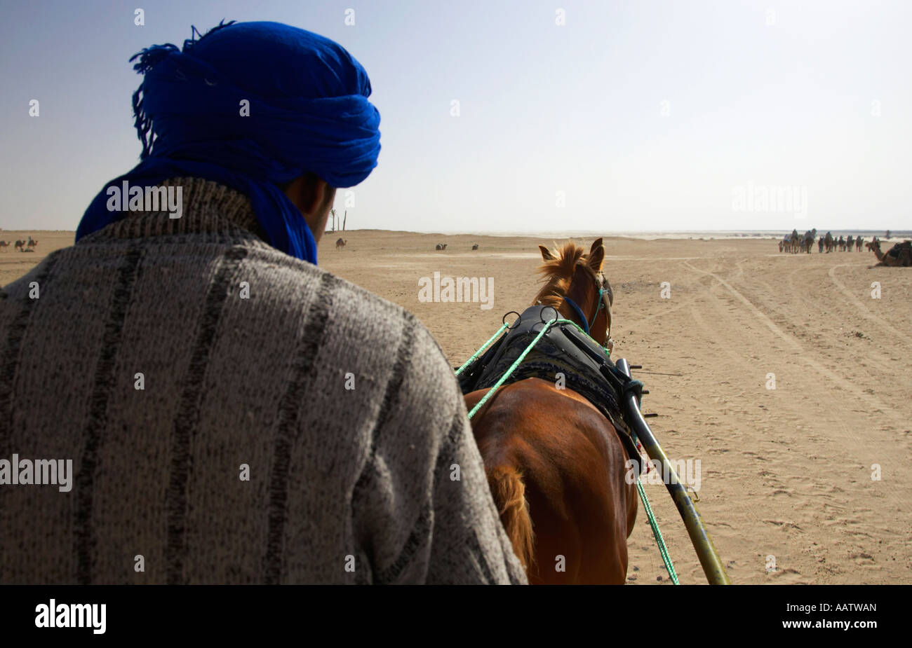 Mrazig Kutsche Fahrer fährt Pferd und Wagen sich in die Sahara-Wüste nach Kamel Zug der Touristen in Douz Tunesien Stockfoto