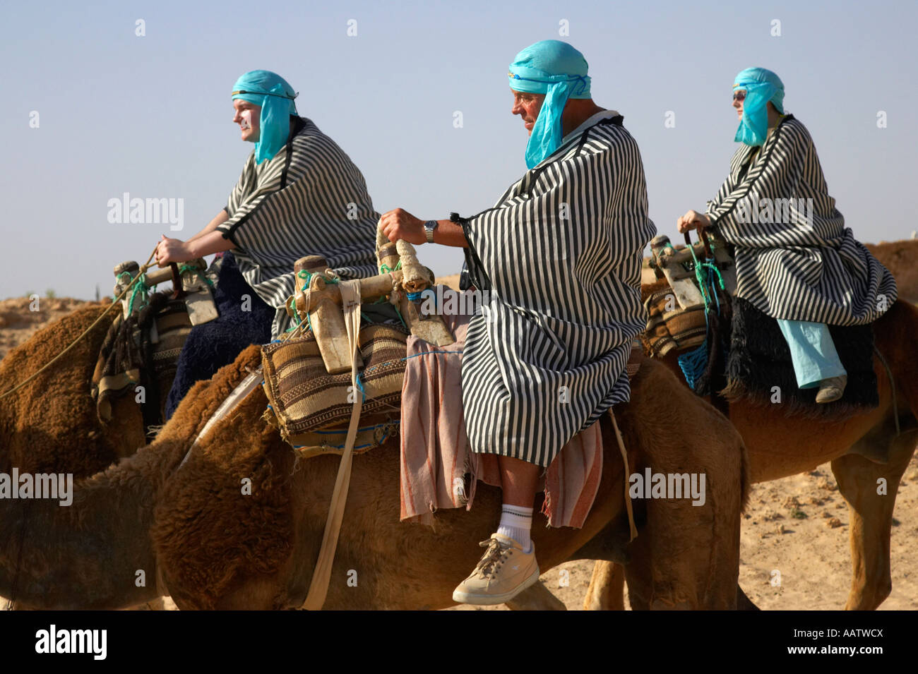 Nahaufnahme von drei britische Touristen in der Wüste Kleidung Reiten auf dem Rücken von Kamelen in der Wüste Sahara Douz Tunesien Stockfoto