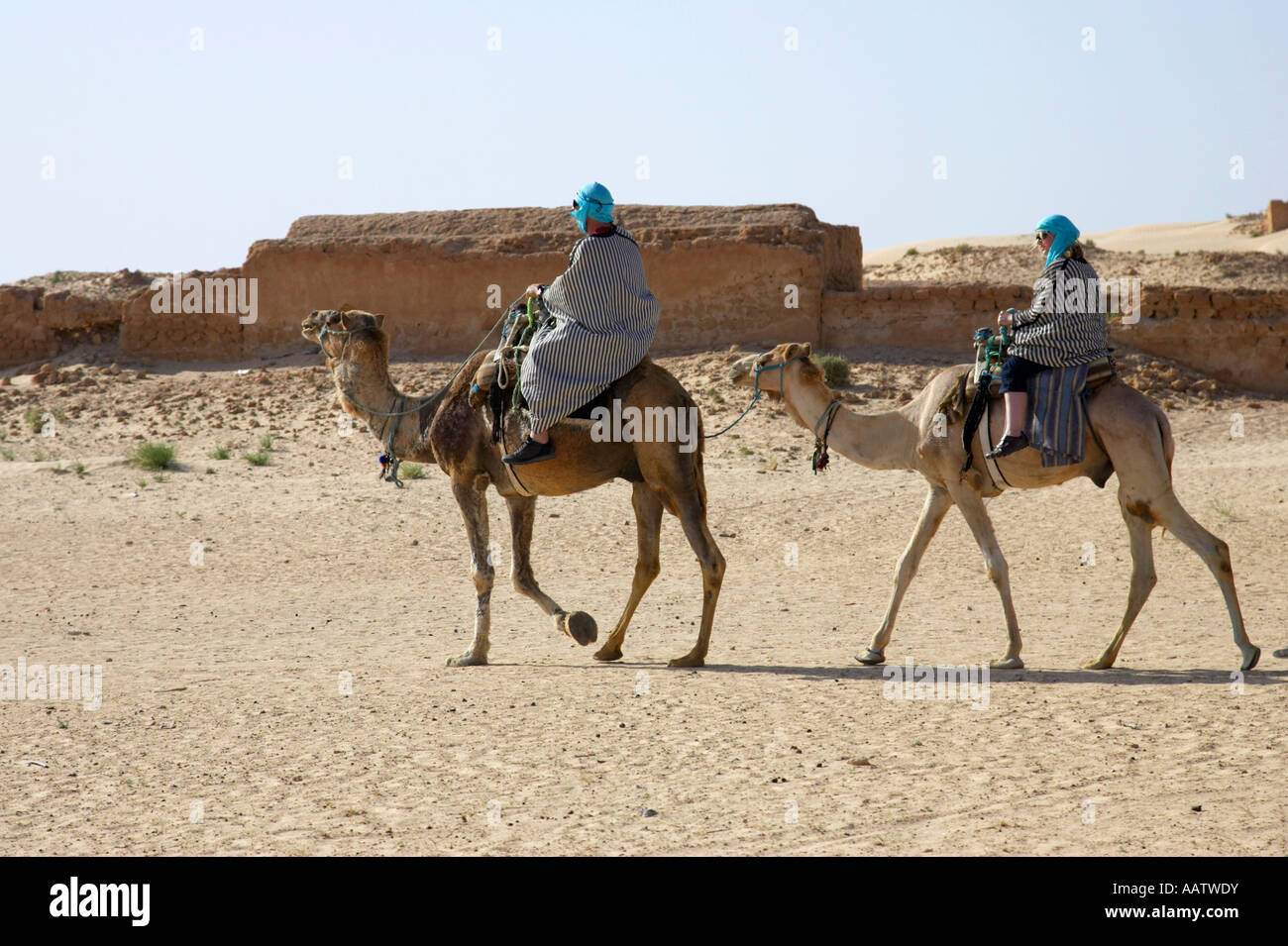 Touristen in der Wüste Kleidung Reiten Kamelen durch die Geisterstadt in der Wüste Sahara Douz Tunesien Stockfoto