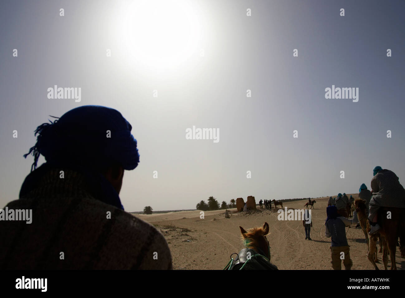 der prallen Sonne prasselte auf Linie von Kamelen in der Wüste Sahara in Douz Tunesien Stockfoto