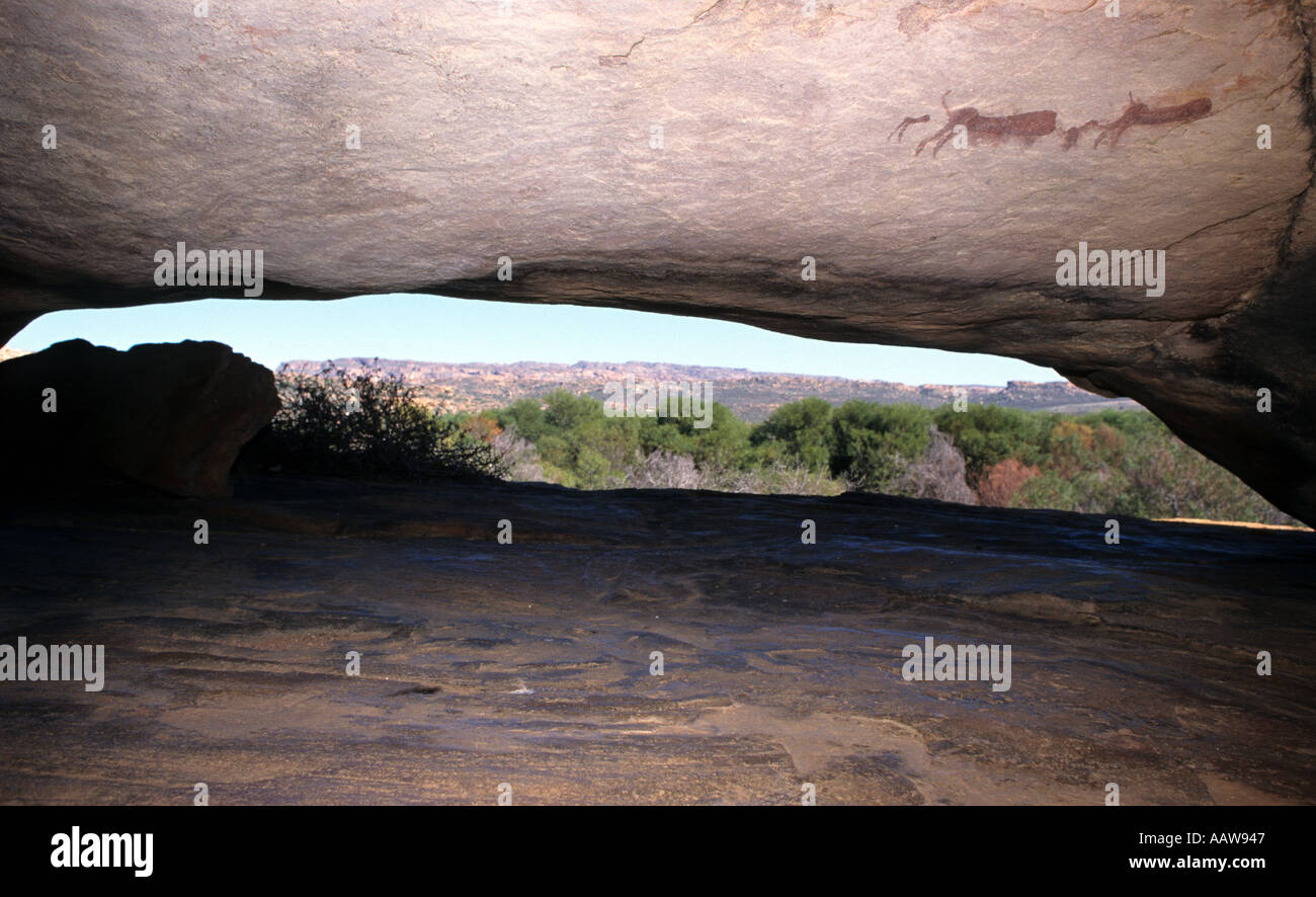 Südafrika San Rock Art Cedarberg Mountains Stockfoto