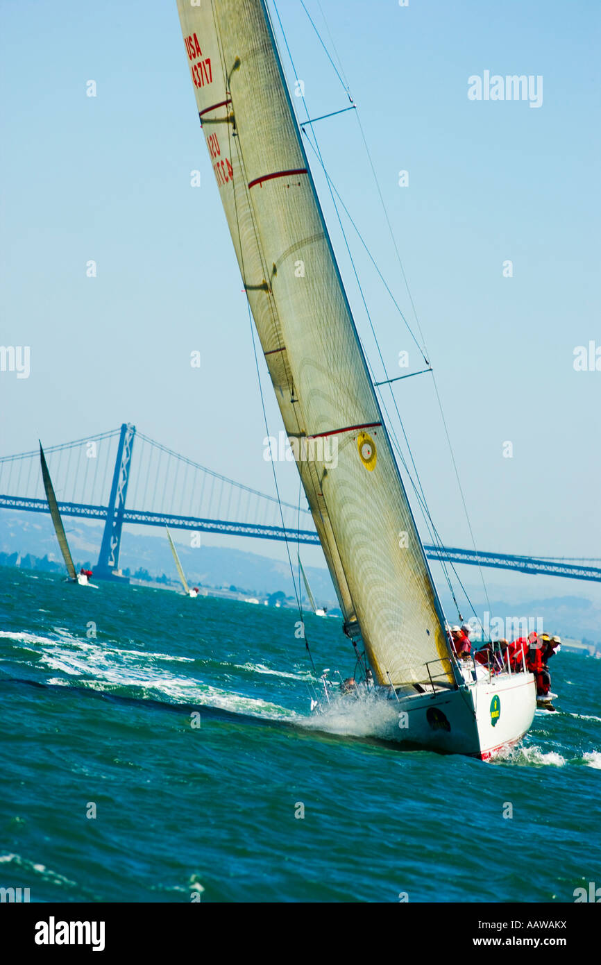 Team-Segelregatten in Bucht von San Francisco Kalifornien Stockfoto