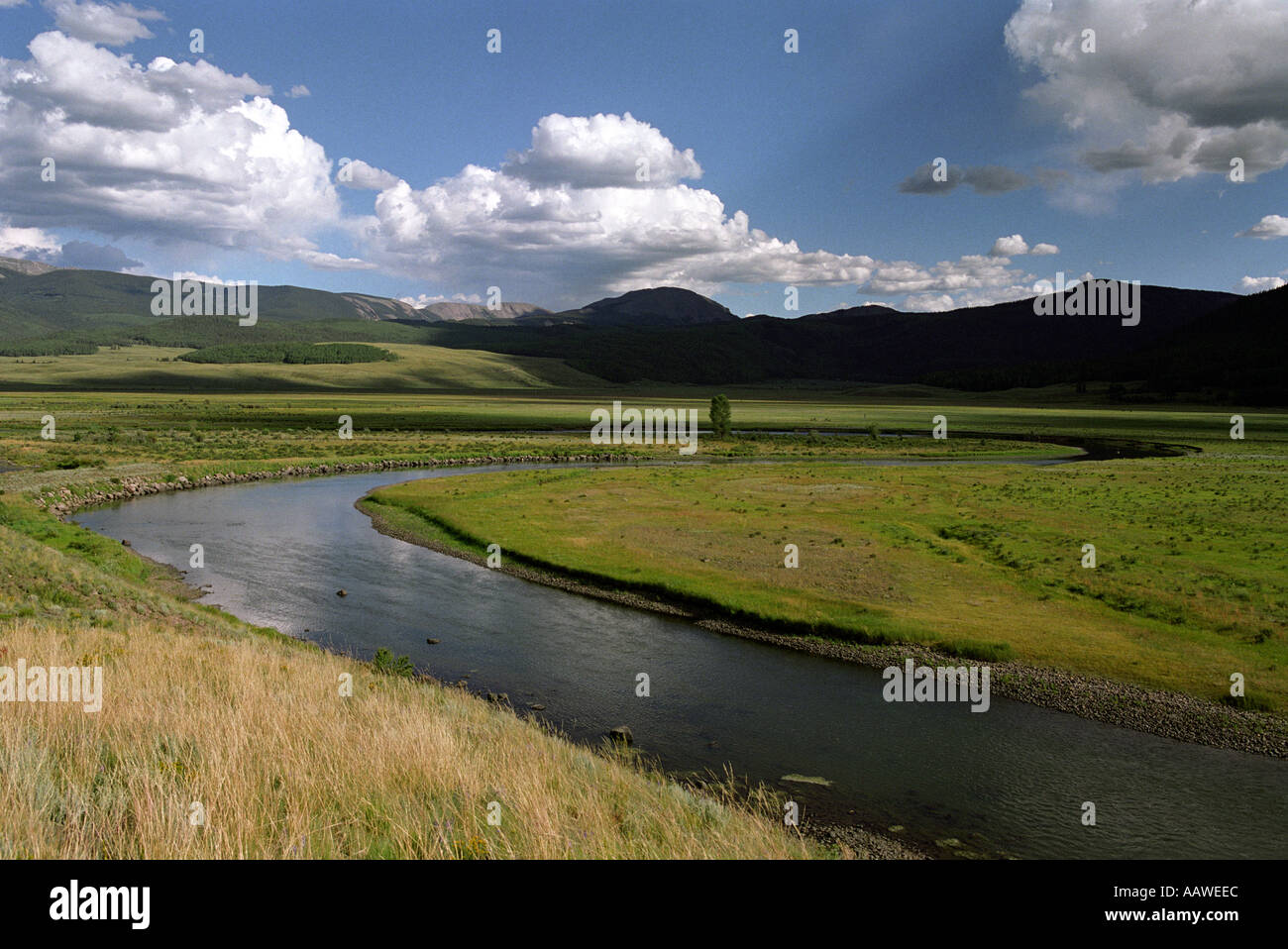 Der Rio Grande Fluss in der Nähe von seiner Quelle in Colorado Stockfoto