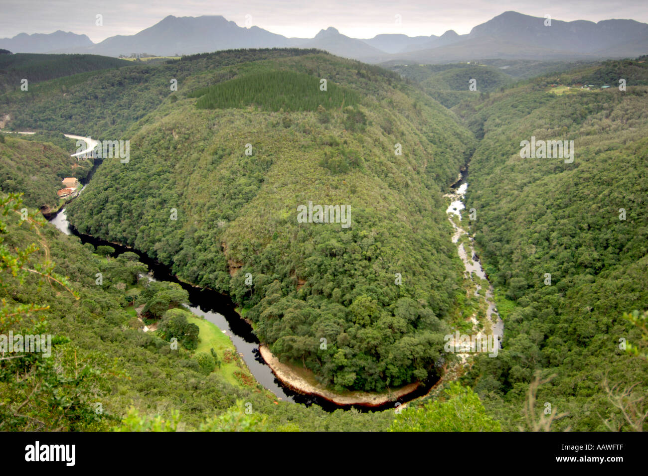 Ein Blick auf die "Karte von Afrika" Bildung im Kaaimans River in der Nähe von Wilderness an der Garden Route in Südafrika. Stockfoto