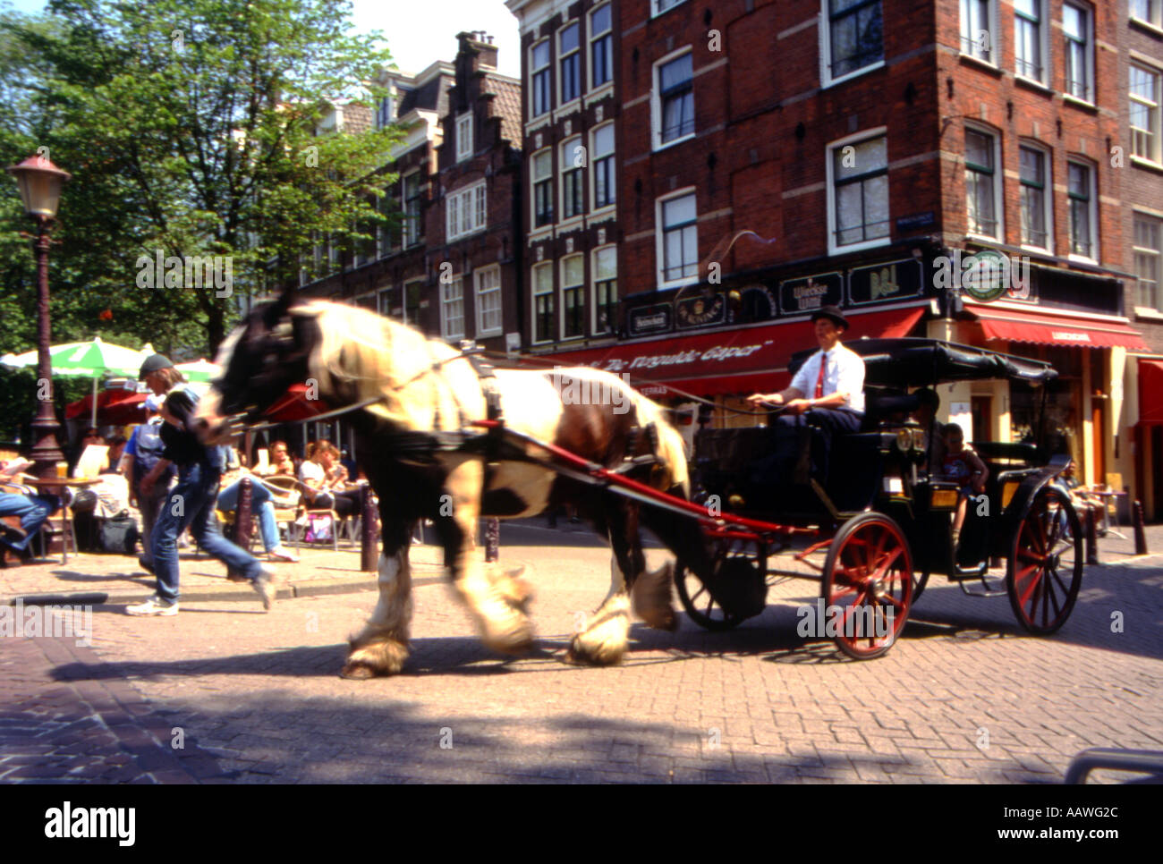 Pferd ziehen Karren amsterdam Stockfoto