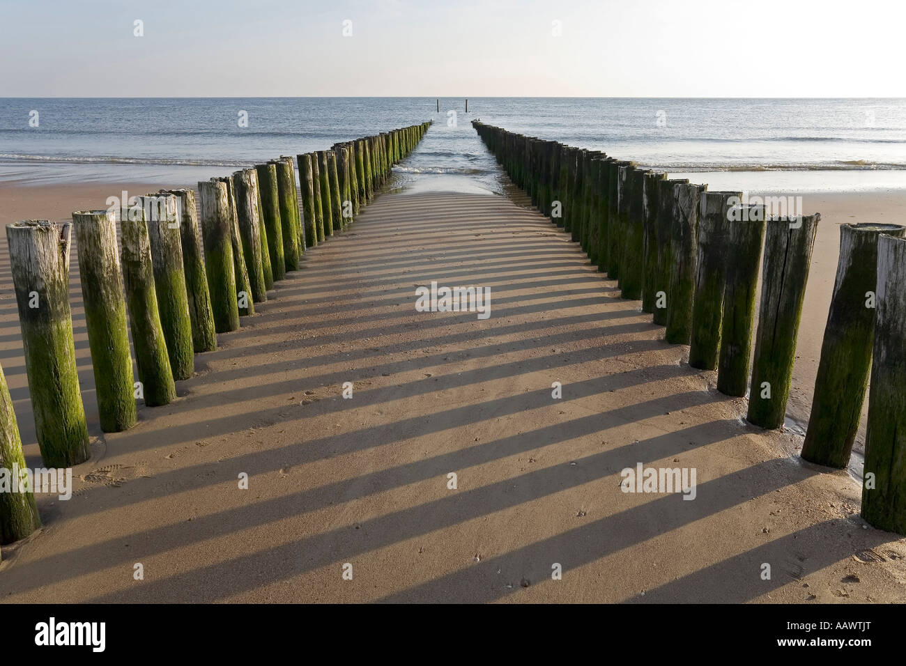 Holz- leiste, Nordsee Strand, zoutelande, Zeeland, Niederlande Stockfoto