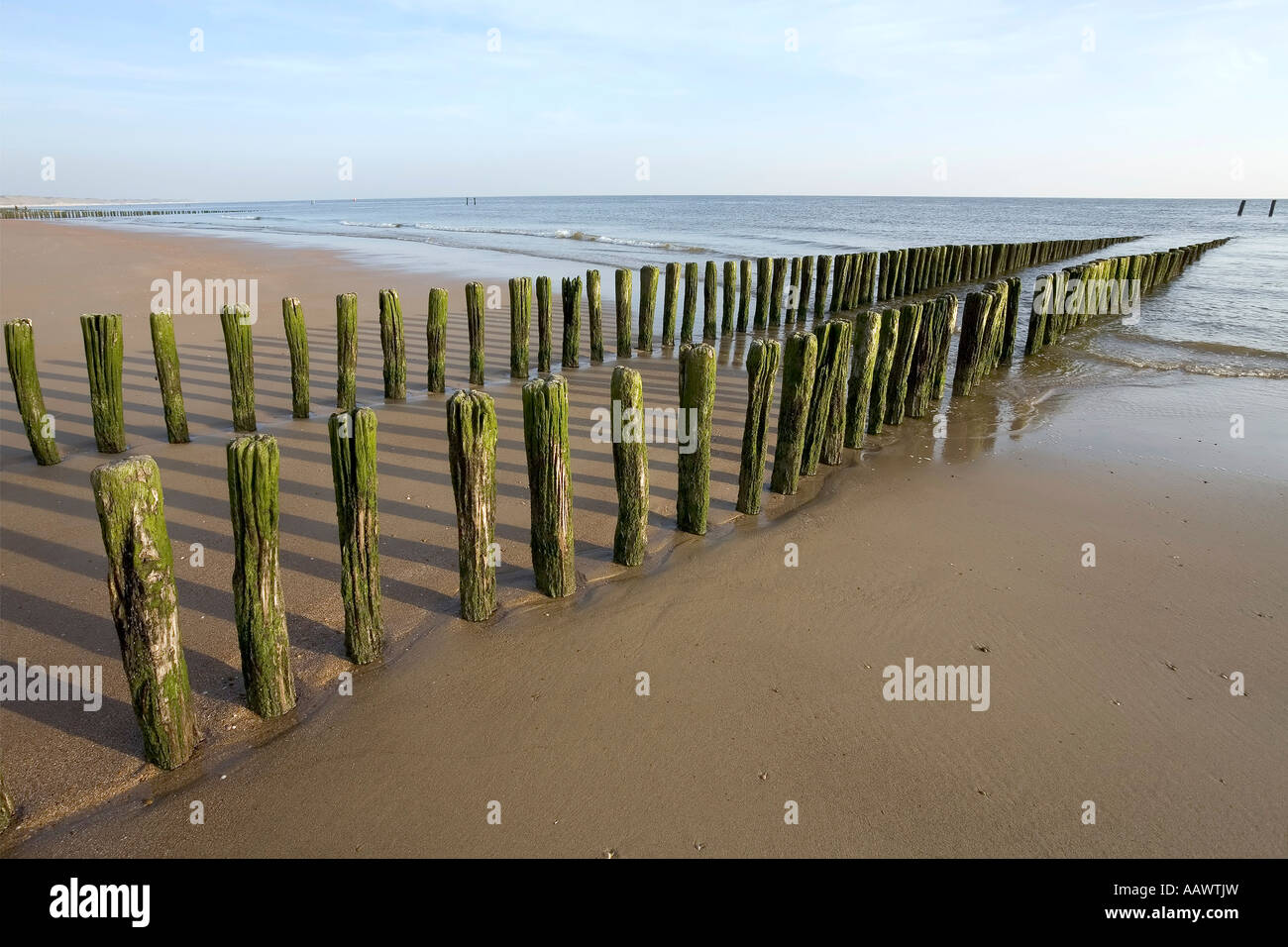 Holz- leiste, Nordsee Strand, zoutelande, Zeeland, Niederlande Stockfoto