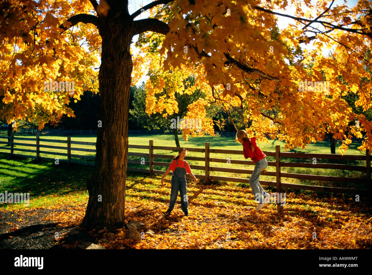 Mädchen spielen am Seil schwingen hängen vom Baum, Morris County, New Jersey Stockfoto