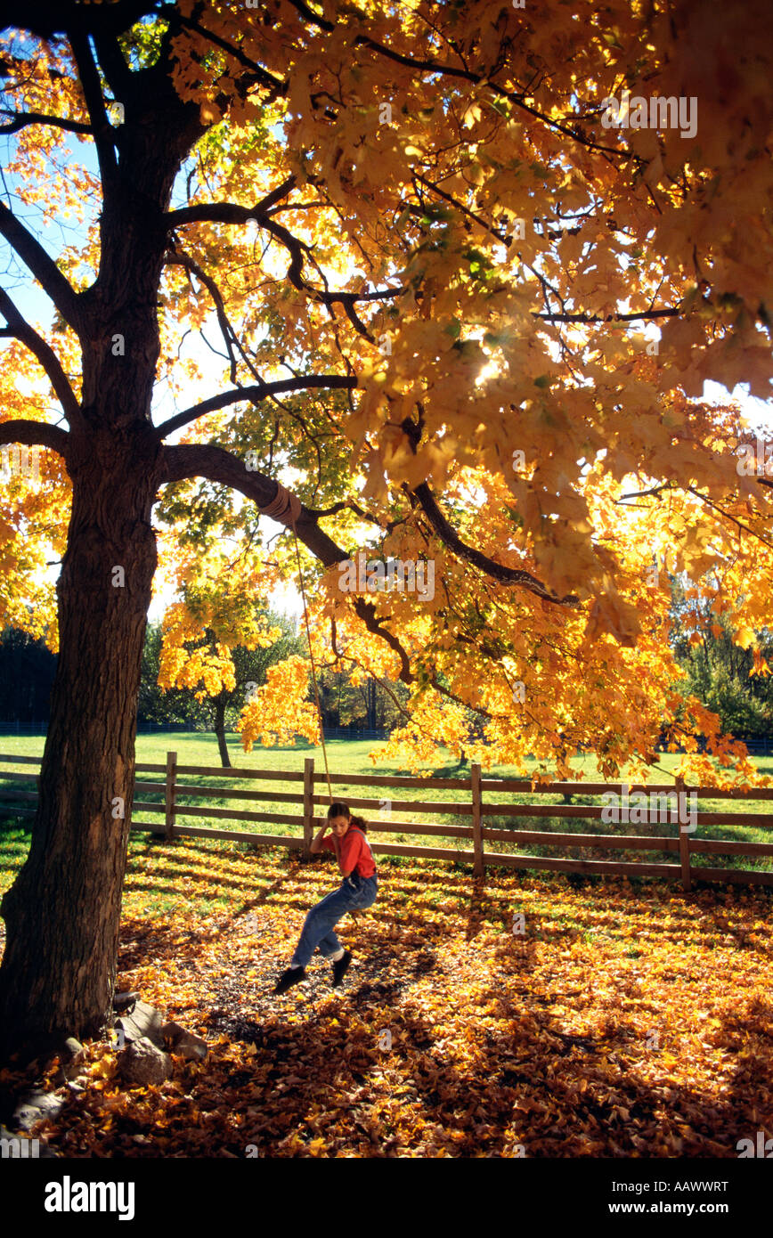 Mädchen sitzen auf Seil Schaukel hängen von Baum, Morris County, New Jersey Stockfoto