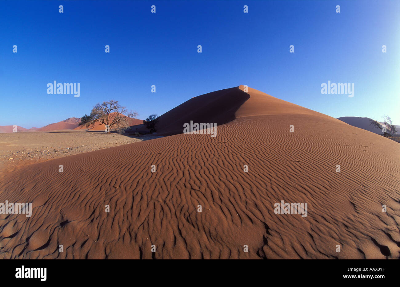 Sanddünen der Namib-Wüste nr Sosusvlei Namibia Stockfoto