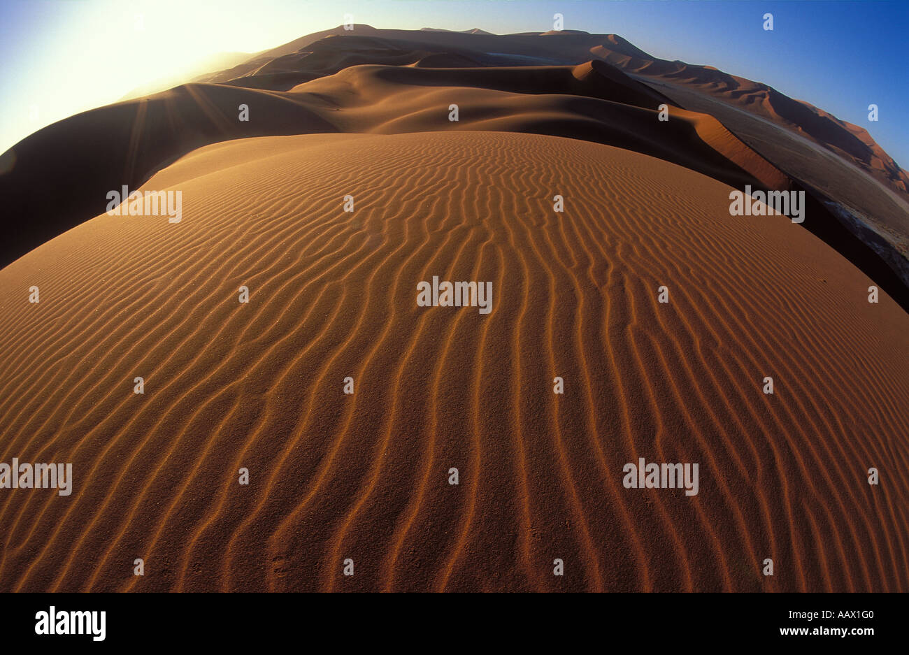 Wellen in den Sanddünen nr Sosusvlei Namib Wüste Namibia Stockfoto