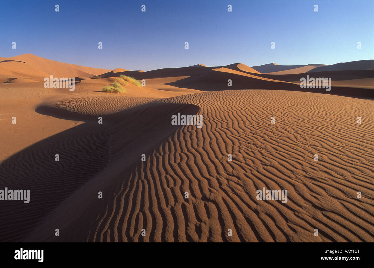 Wellen in den Sanddünen nr Sosusvlei Namib Wüste Namibia Stockfoto