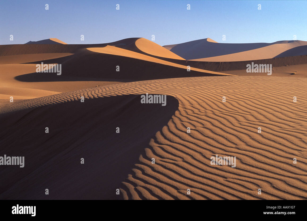 Sanddünen in der Namib Wüste Namib Naukluft National Park Nr Sossusvlei Namibia Stockfoto