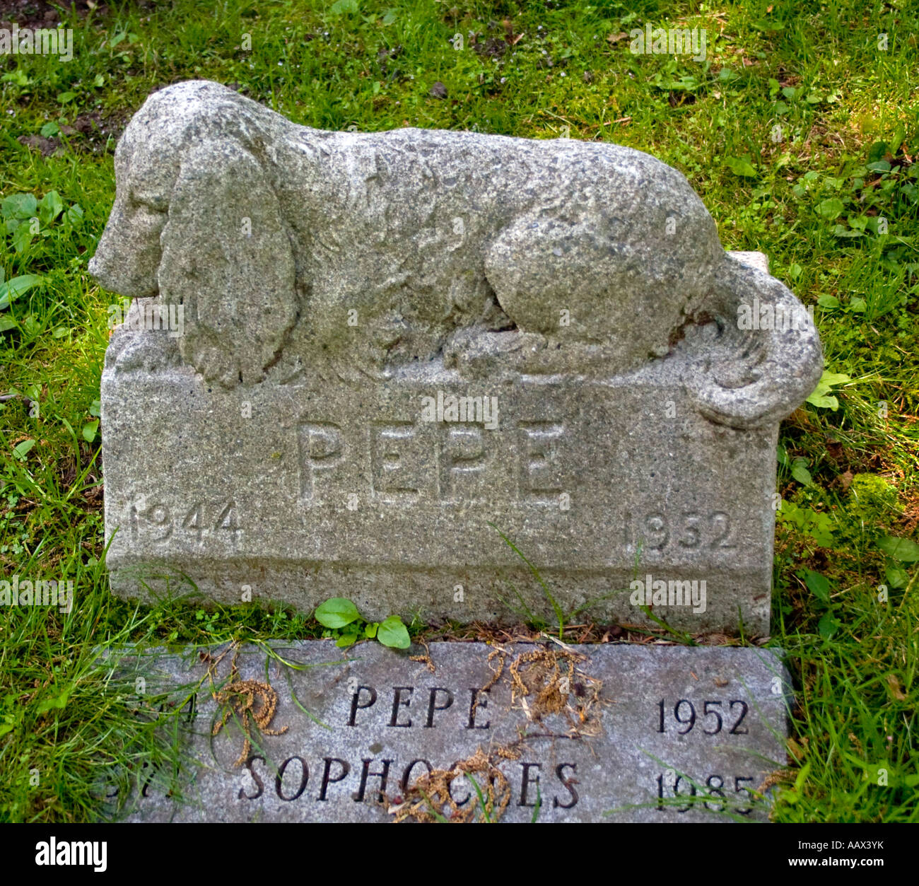 Grabstein für den Hund Pepe in Hartsdale Pet Cemetery in Hartsdale New York Stockfoto