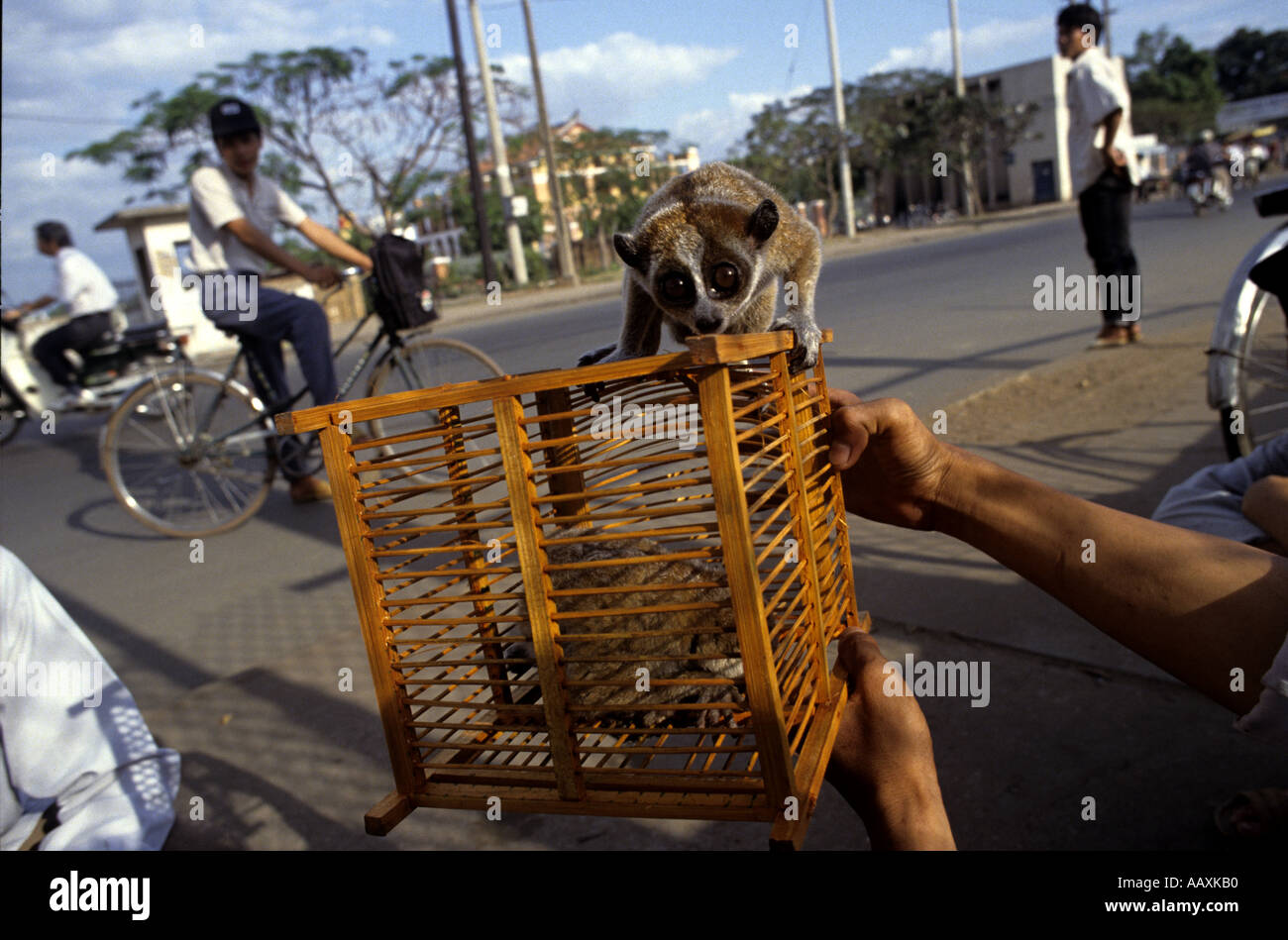 Tiermarkt verkauft alle Arten in Ho-Chi-Minh-Stadt Vietnam Pic Rob Judges Stockfoto