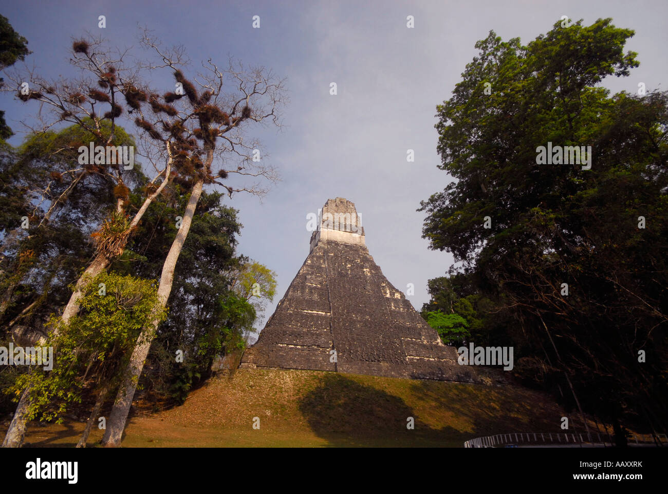Ich, Tikal Tempelruinen, Petén, Guatemala, Mittelamerika Stockfoto