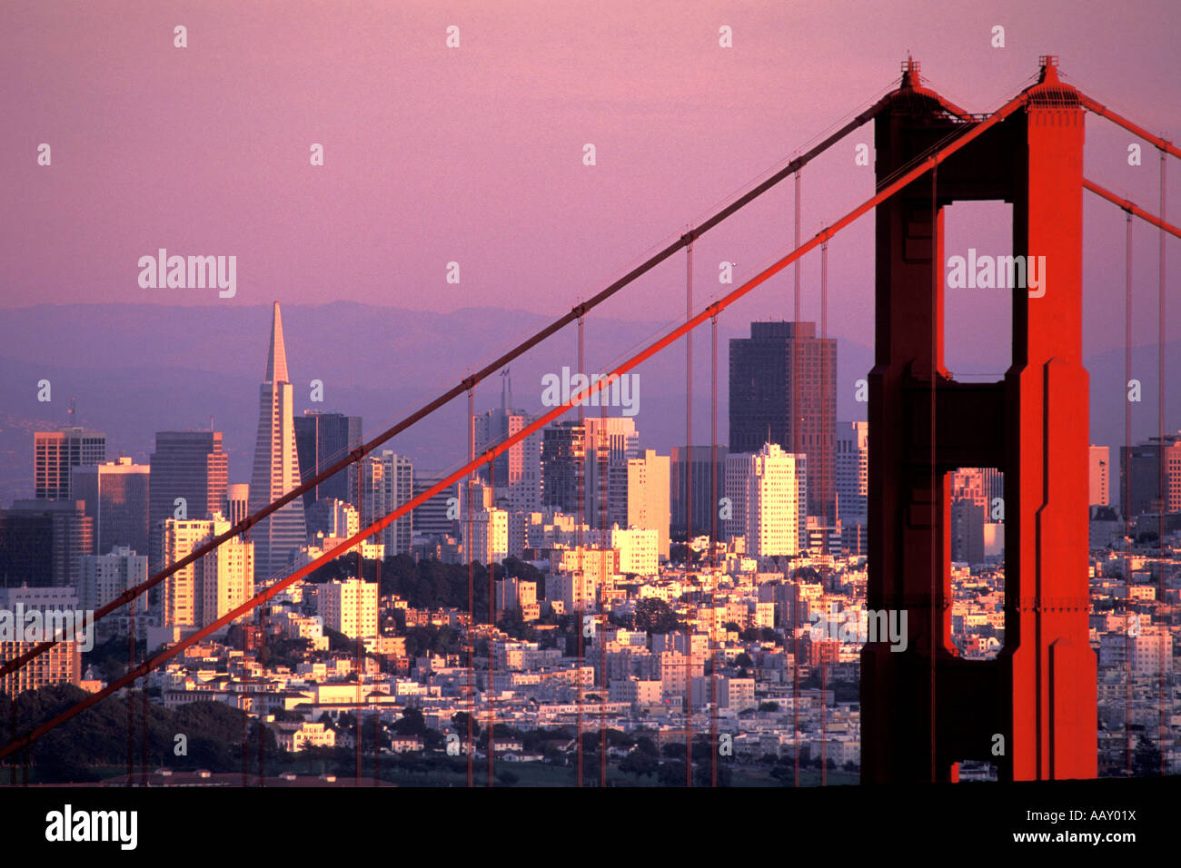 San Francisco Wolkenkratzer-Skyline mit Golden Gate Bridge im goldenen Nachmittag Licht in Kalifornien Stockfoto