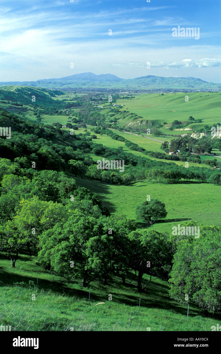 Unterentwickelten ländlichen South Livemore Valley in Nordkalifornien zeigt Ranchland grüne Hügeln Stockfoto