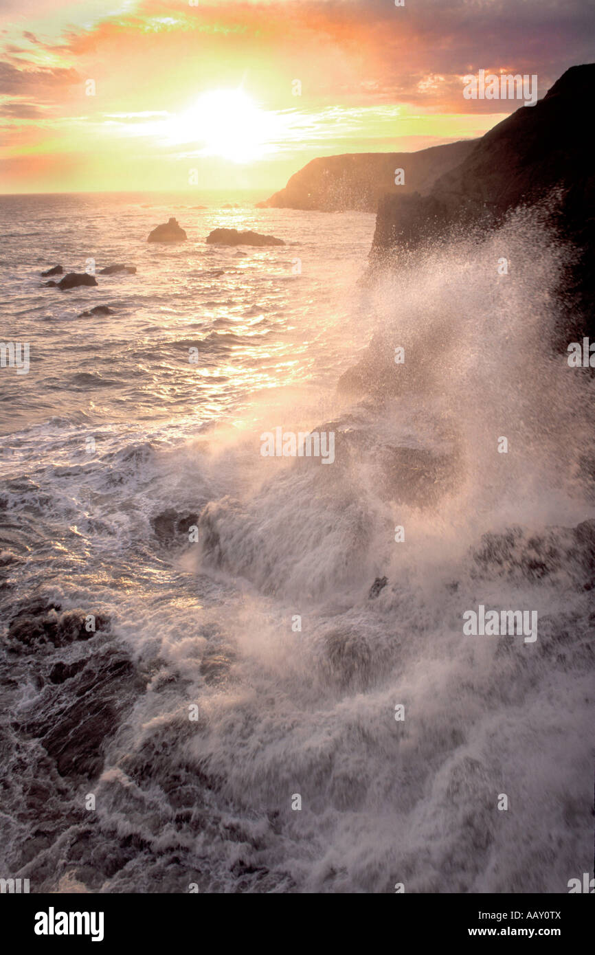 Maverick Riesenwelle Absturz an der felsigen Küste bei Sonnenuntergang im nördlichen Kalifornien Pazifik in Kalifornien Stockfoto