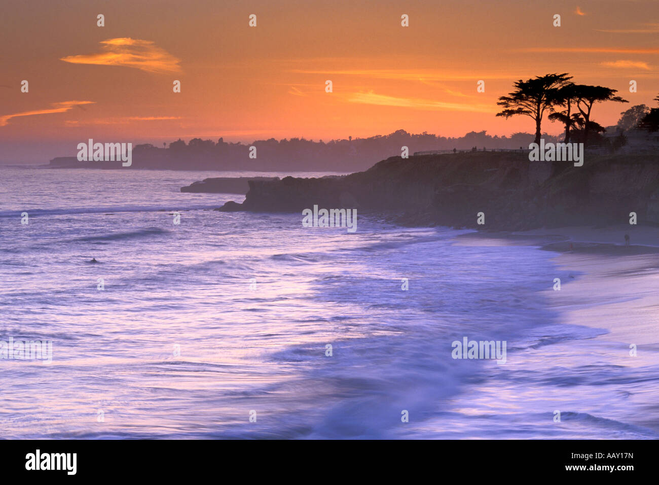 Zypressen bei Sonnenuntergang entlang der Küste Nord-Kalifornien und dem Pazifischen Ozean entlang einer Autobahn Stockfoto