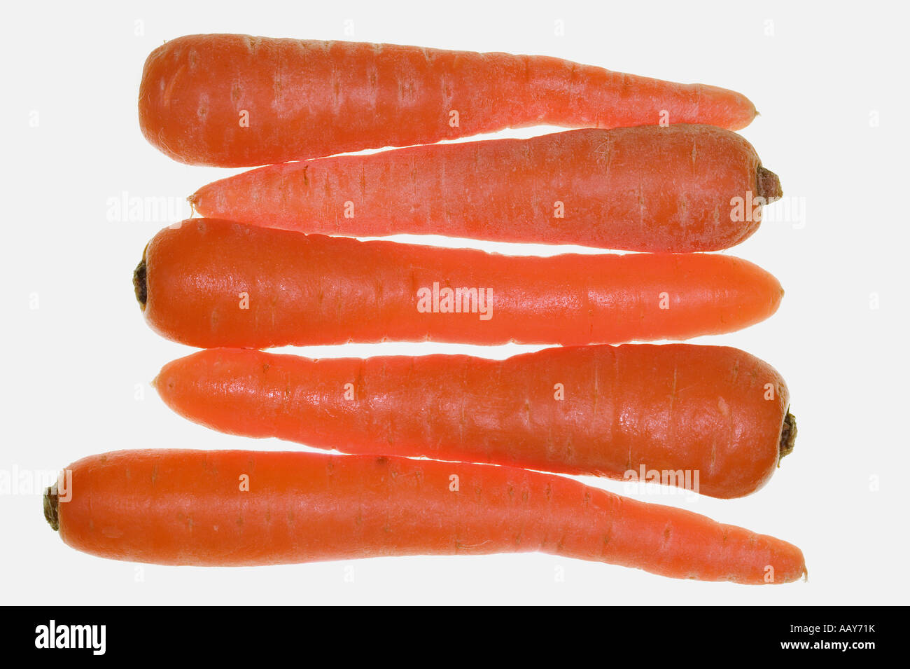 5 Karotten Hintergrundbeleuchtung und isoliert auf weiss Stockfoto