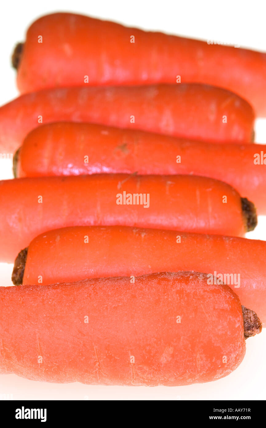 5 Karotten in einer Reihe vor einem weißen Hintergrund Stockfoto