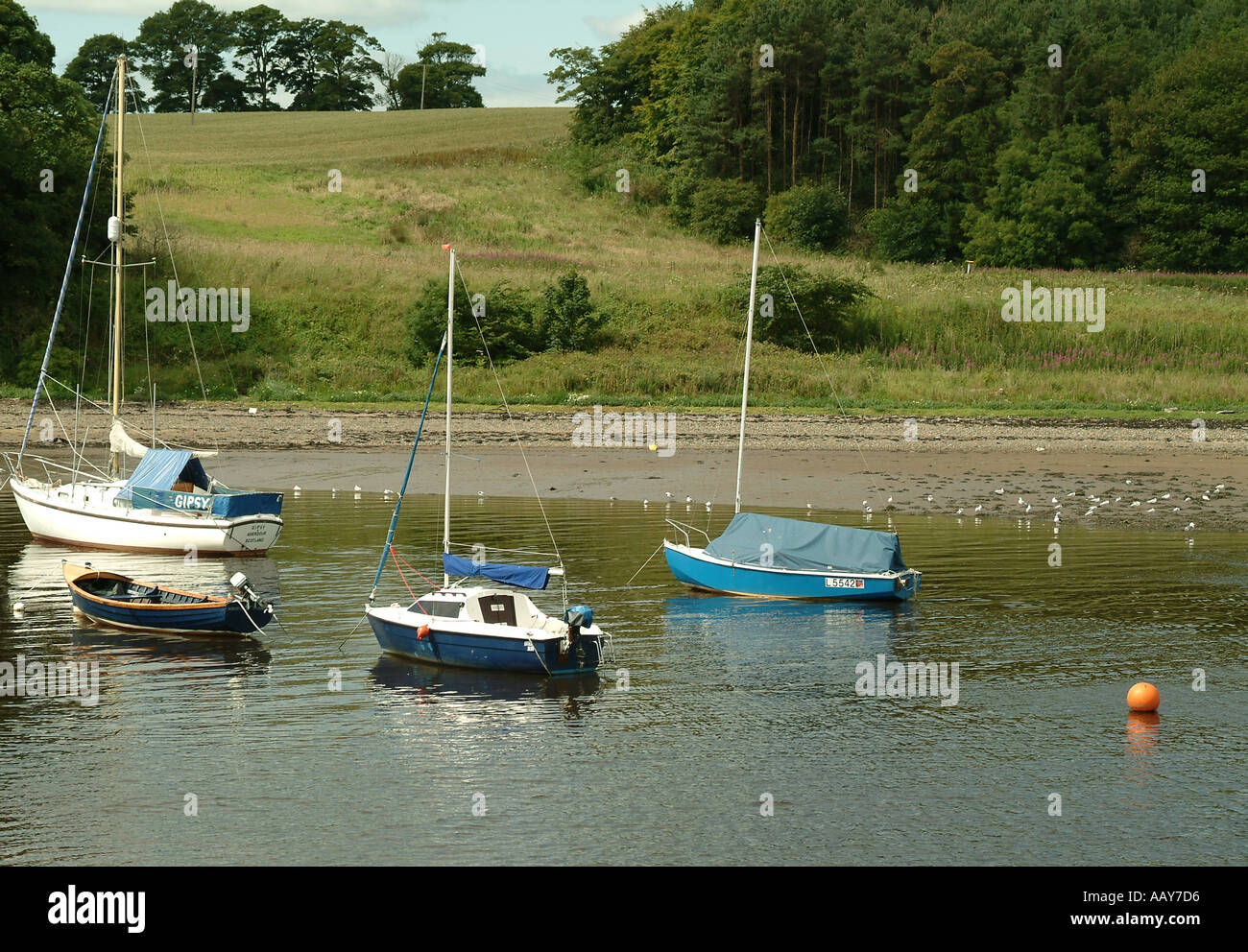 Yachten und Sportboote auf der Fluss-Mandel-Cramond-Schottland Stockfoto