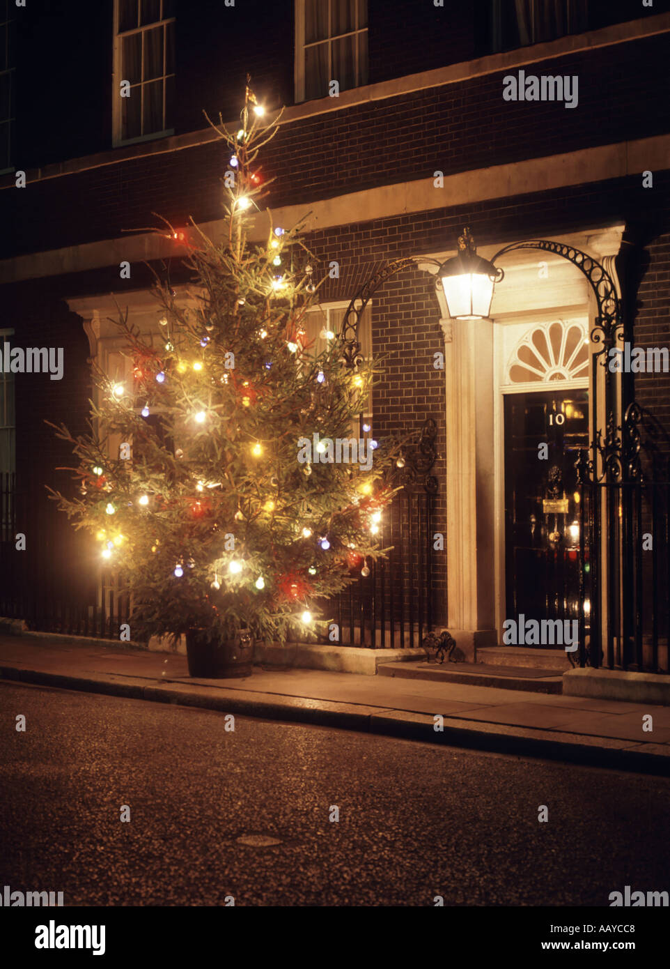 Nummer 10 Downing Street berühmte vordere Tür und Weihnachtsbaumbeleuchtungen bei Nacht London England Großbritannien Stockfoto