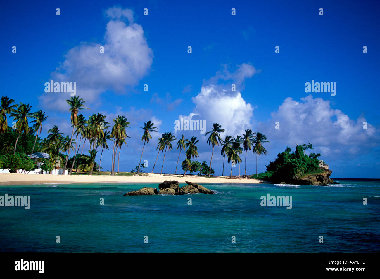 Bacardi Beach auf Cayo Levantado Bahia de Samana Dominikanische Republik Stockfoto