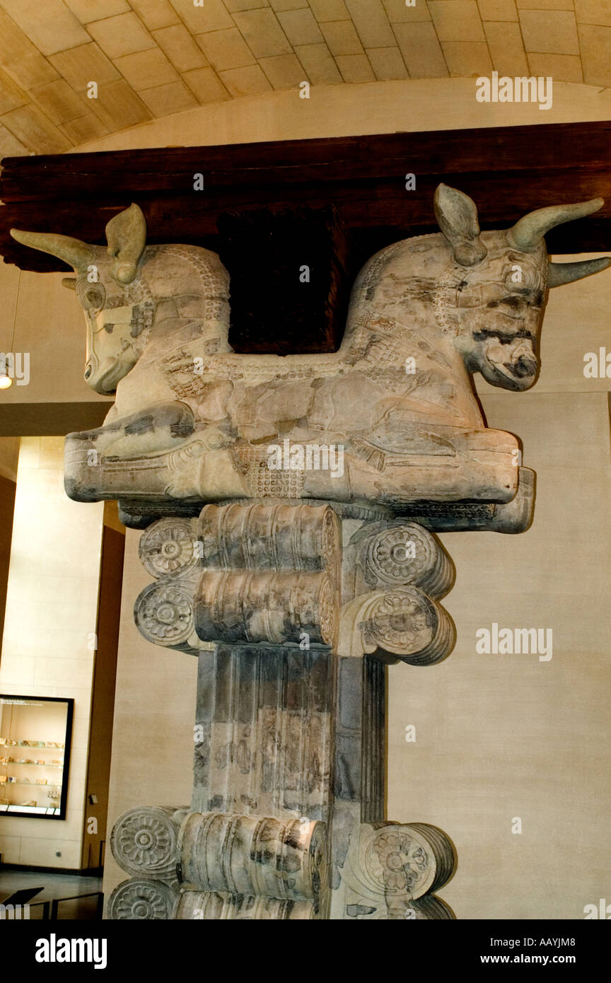 Hauptstadt Spalte Publikum Kammer Halle Apadana persischen Palast von Darius i. der große 521-486 v. Chr. König von Persien Susa Iran Persien Stockfoto