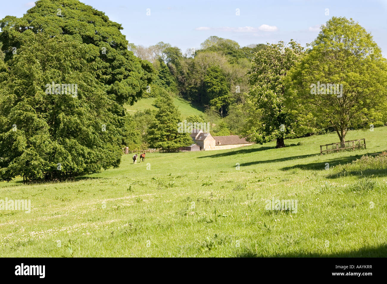 Dean zu senken, in der Nähe von Cotswold Dorf von Turkdean, Gloucestershire Stockfoto