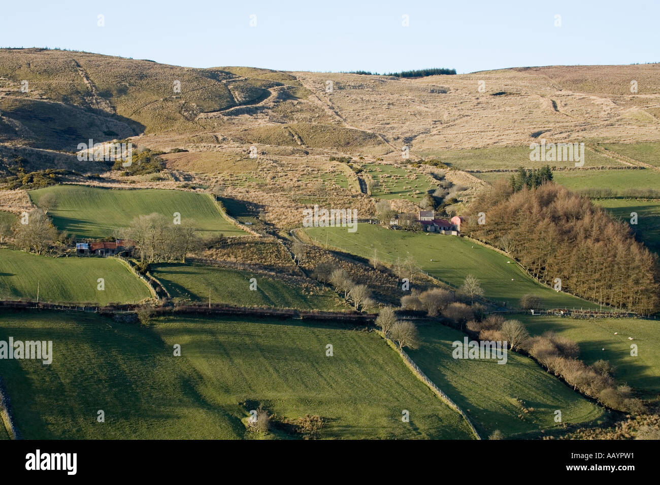 Bereich Muster Sperrin Mountains Derry Tyrone Nordirland Stockfoto