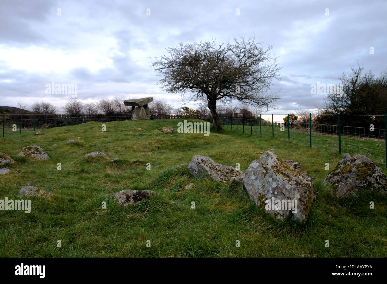 Stativ Dolmen Ballykeel South Armagh Nordirland Stockfoto