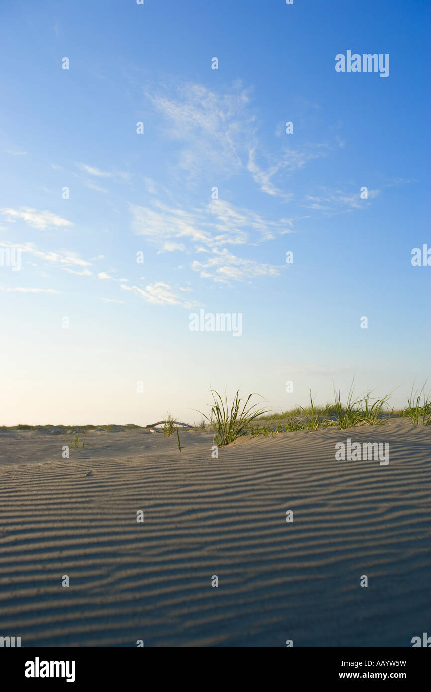 Sand und Himmel soweit das Auge reicht. Ein schöner sonniger Tag an einem Strand des Pazifischen Nordwestens. Stockfoto