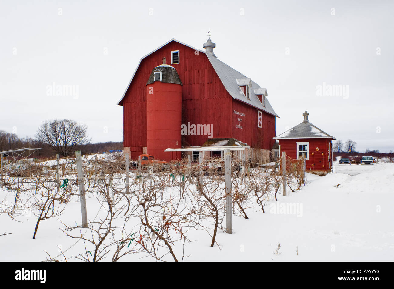 Große rote Scheune und Schnee am Obstgarten Land Weingut und Apfelmosterei in Door County, Wisconsin Stockfoto