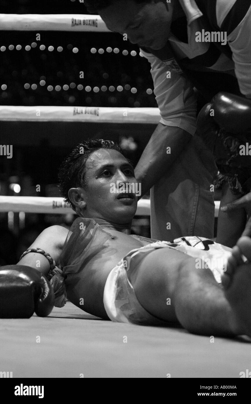 "Thai-Boxer, für den Grafen Bangkok" Stockfoto