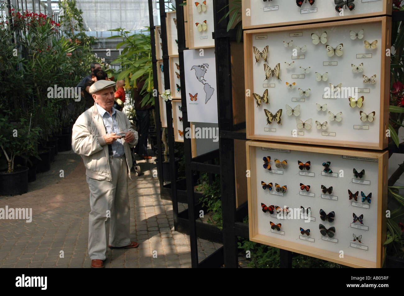 Schmetterlings-Ausstellung Stockfoto