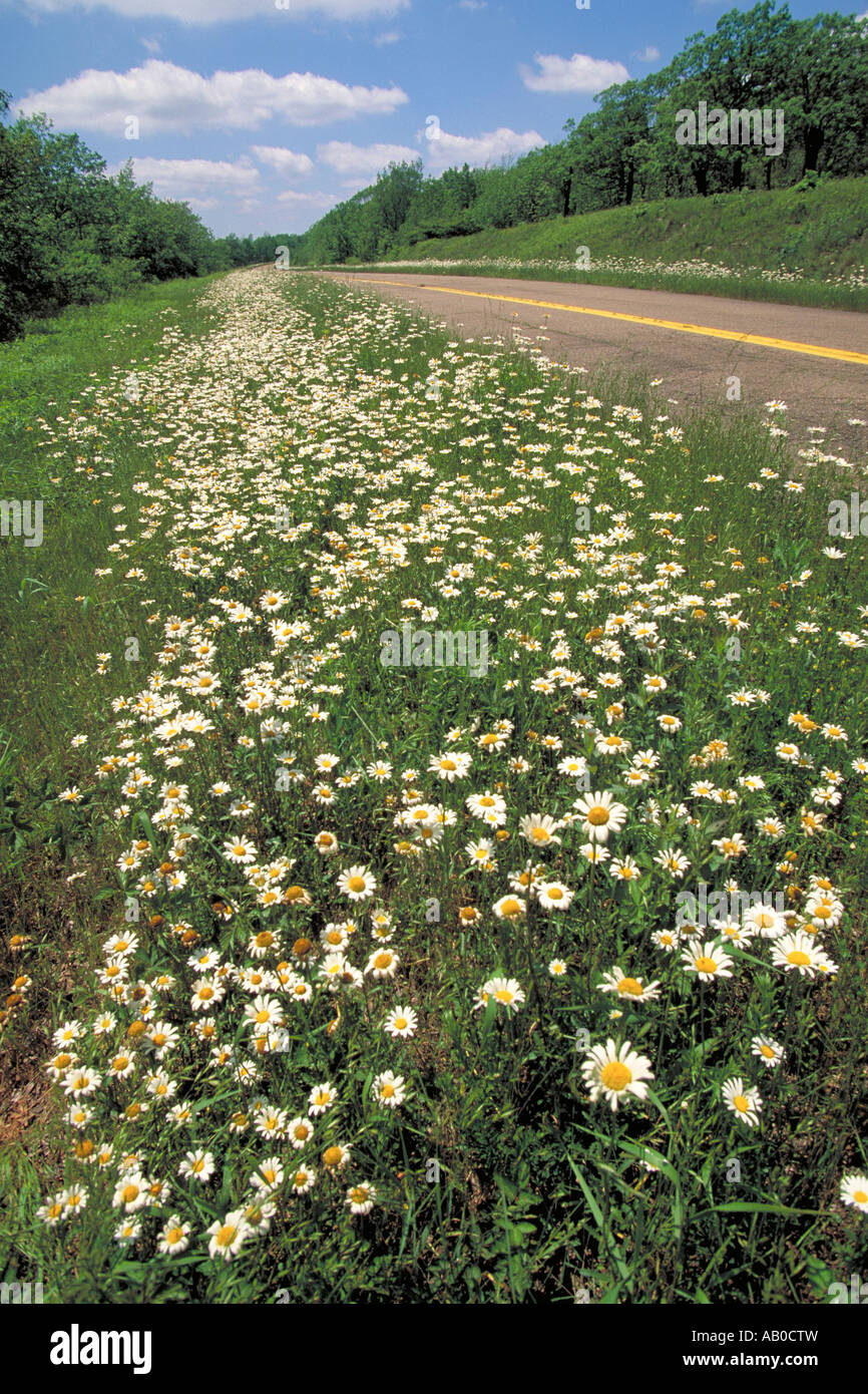 Elk279 1537 Oklahoma gewundene Treppe NRA Talimena Scenic Byway Landschaft Stockfoto