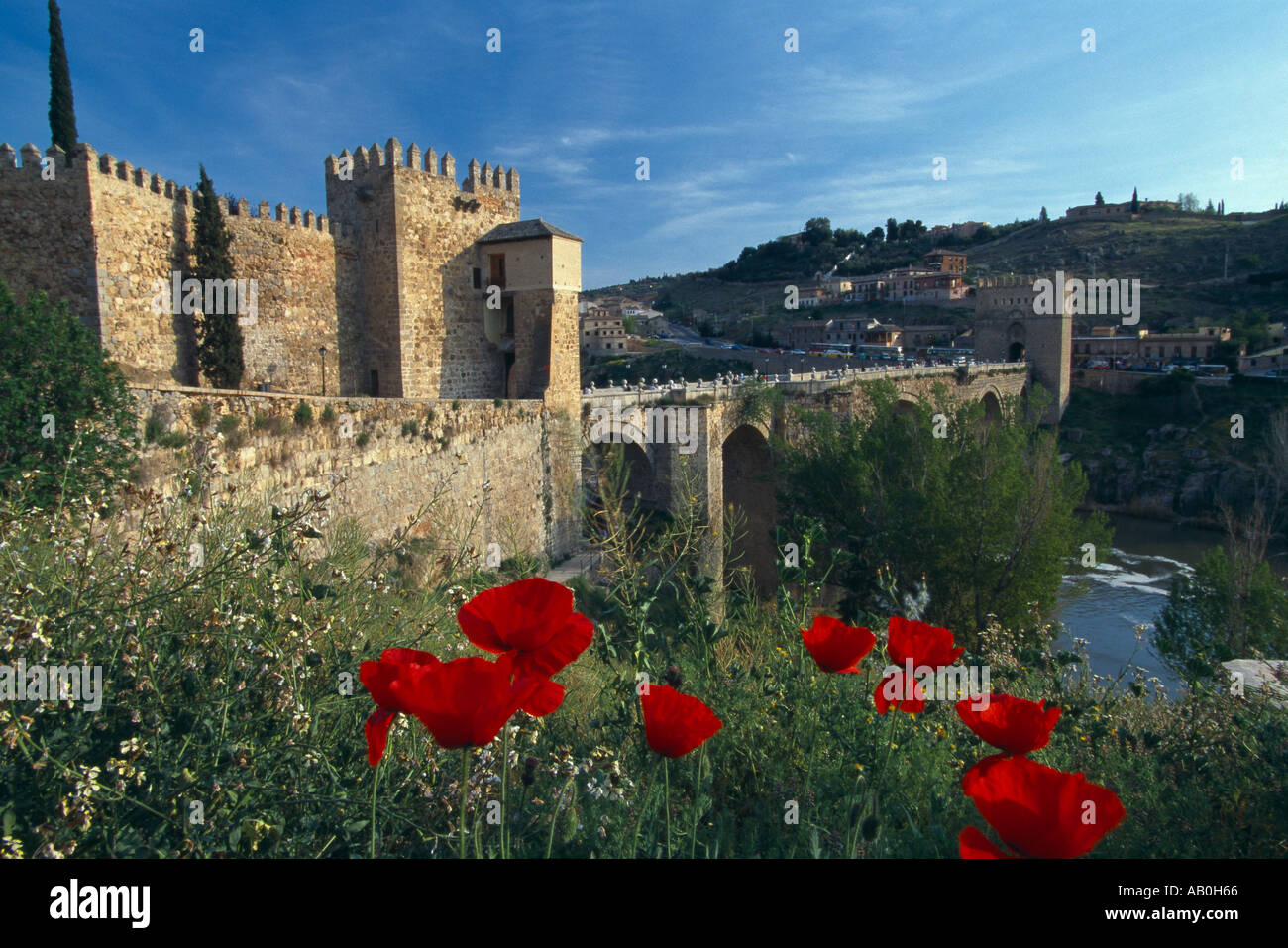 Stadtmauer mit Mohnblumen in Toledo Kastilien Las Mancha Spanien Stockfoto