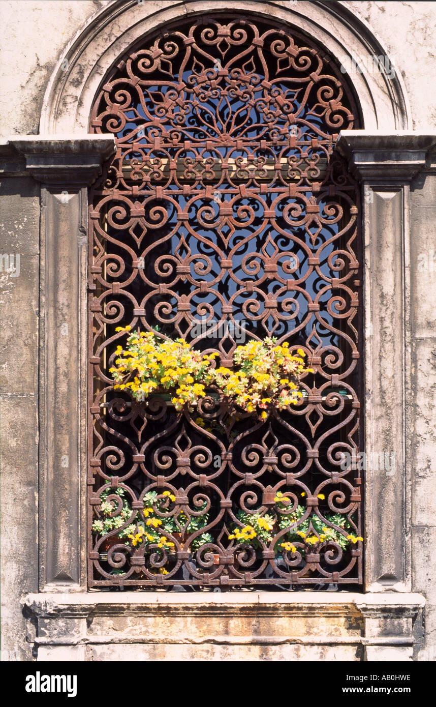 Eisen-Arbeitsfenster mit Blumen Venedig Italien Stockfoto