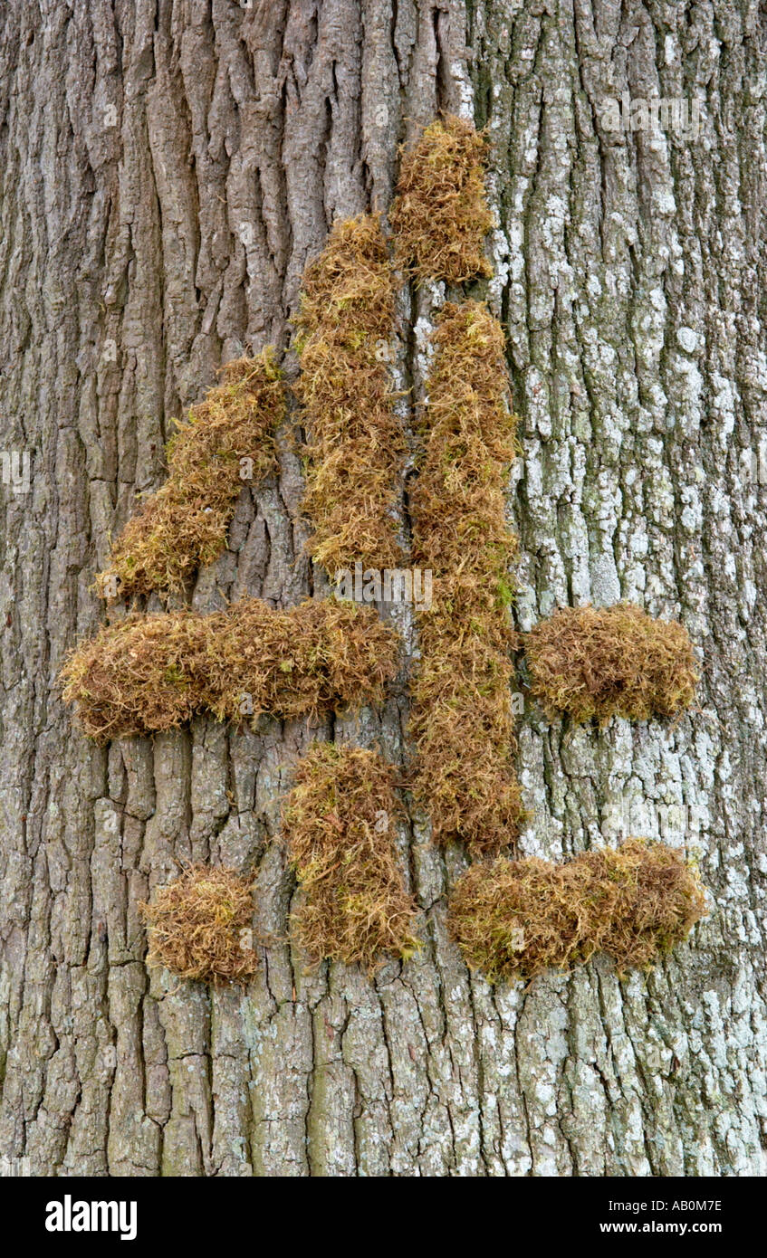Abbildung 4 aus Moos und platziert auf einem Baum bei The Guardian Hay Festival 2005 Website Hay on Wye Powys Wales UK Stockfoto