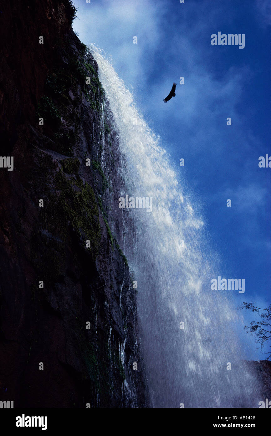 Adler fliegen über Iguazu Wasserfälle Misiones Argentinien Südamerika Stockfoto